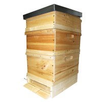 Langstroth / Dadant beehive