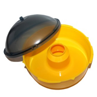 Wasp traps