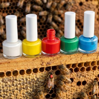 Queen Marking Paint - bottle