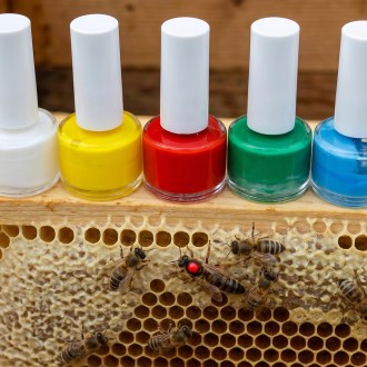 Queen Marking Paint - bottle