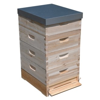 Langstroth Beehive 4 x 2/3 (159) - 10 frames - dovetail joint