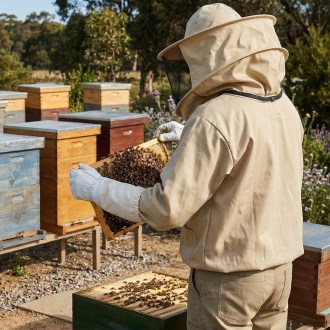 Beekeeper Suit OPTIMA Lysoň, size: S-XXXXL