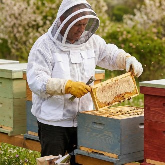 Professional Beekeeper Jacket with Veil Size: S-XXL
