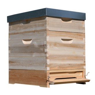 Dadant US Beehive 1x(285) + 1x2/3(159) - 10 frames - dovetail joint