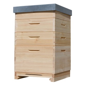 Wooden hive Dadant US for 12 frames - 1x 285   3x 141