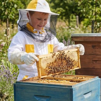 Baby bee suit with hat, sizes: 104–164