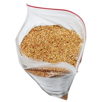 Crimson Clover (seeds / bee forage) - 0.5 kg