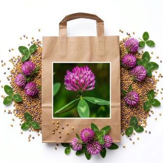 Red Clover seeds - 1 kg