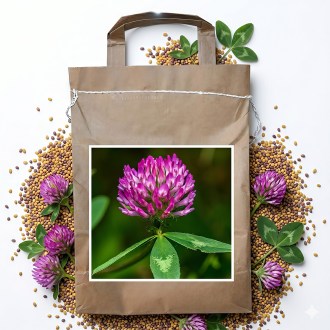 Red Clover seeds - 1 kg