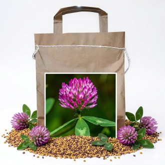 Red Clover seeds - 1 kg