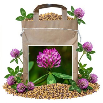 Red Clover seeds - 1 kg