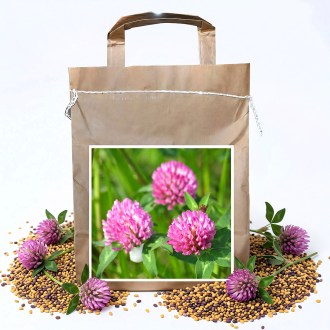 Red Clover seeds - 1 kg