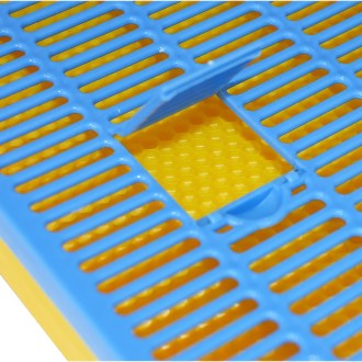 Queen cage - isolator for varroa mite control 39x24