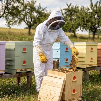 Bee suit with hood sizes.: S - XXL