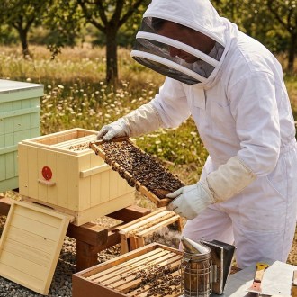 Bee suit with hood sizes.: S - XXL