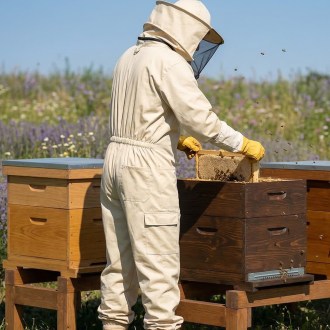 Beekeeping Suit OPTIMA Lyson, size: S-XXXXL