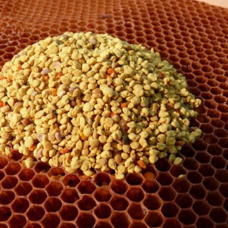 Flower pollen PLEVA 95g