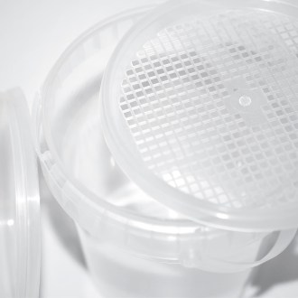 Varroasis detection kit