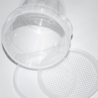 Varroasis detection kit