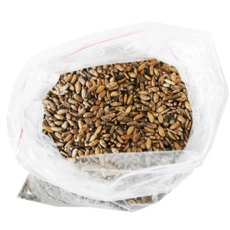 Milk Thistle (seeds / bee forage) - 0.5 kg
