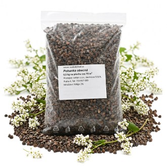 Common buckwheat seeds - 0.5 kg