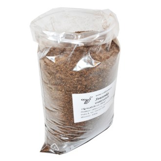 Lacy Phacelia (seeds / bee pasture) - 1 kg