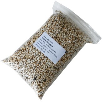 Safflower seeds (Carthamus tinctorius) - 0.5 kg
