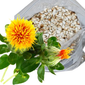 Safflower seeds (Carthamus tinctorius) - 0.5 kg