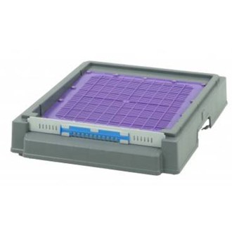 Dadant Blatt hive ½ with high plastic Varroa bottom board, varnished 10 frames