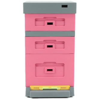 Dadant Blatt Hive with Varroa Bottom - Lacquered (Pink) 10 Frames