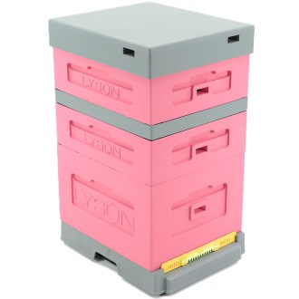 Dadant Blatt Hive with Varroa Bottom - Lacquered (Pink) 10 Frames
