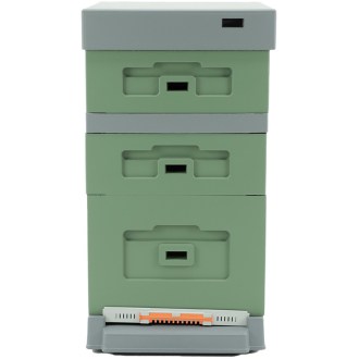 Dadant Blatt Hive with Varroa Bottom - Lacquered (Green) 10 Frames