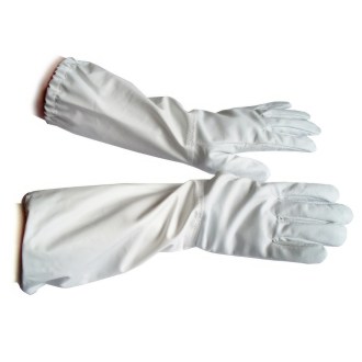Pig Skin Gloves, sizes: 6-12