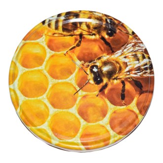 Lid - bees in hive